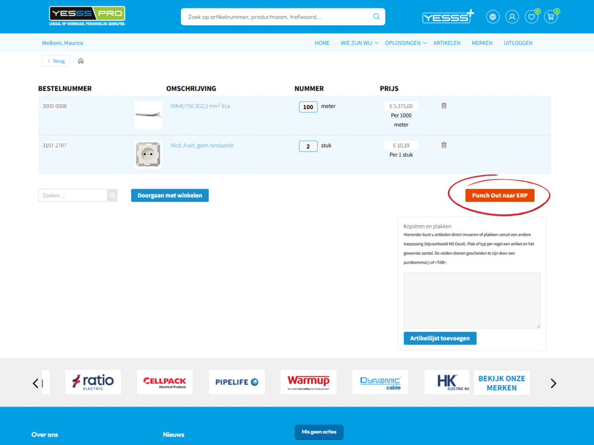 Screenshot Artikelen en prijzen importeren in DEDDO vanuit webshop Yesss Electrical